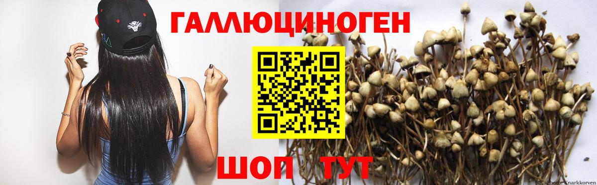 Красногорск  магазин продажи наркотиков  Вход с VPN  Псилоцибиновые грибы Magic Shrooms  Галлюциногенные грибы Psilocybe 